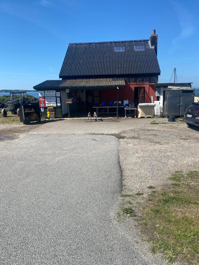 Nyhus, Dragsmur, Mols Knebel Экстерьер фото
